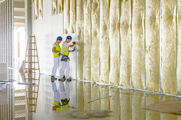 Best Residential Insulation in Broadway, VA